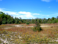Late summer, Centralia, 9/20/2008