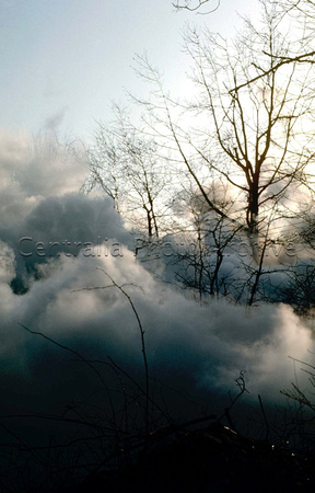 Steam Forest, 4-16-1983