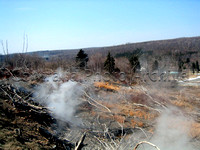 Fire Field, 3-19-2005