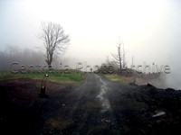 Fire Field, 4-23-2005