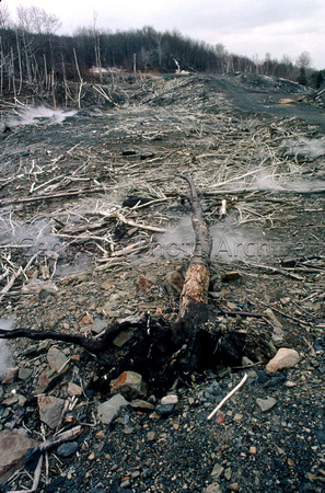 Fire Field & Fallen Tree, ca. 3-1-2001