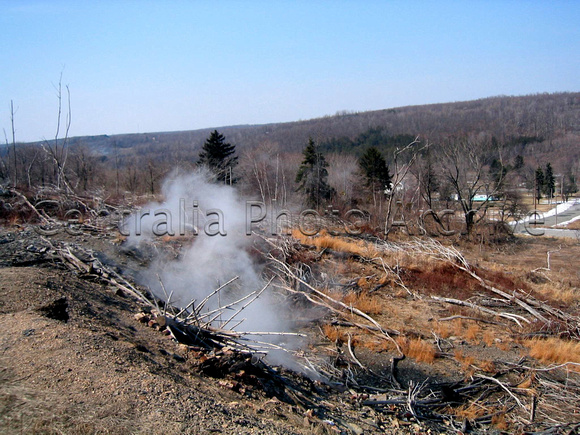 Fire Field, 3-19-2005